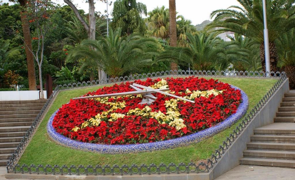 Santa Cruz De Tenerife Toscal Екстериор снимка