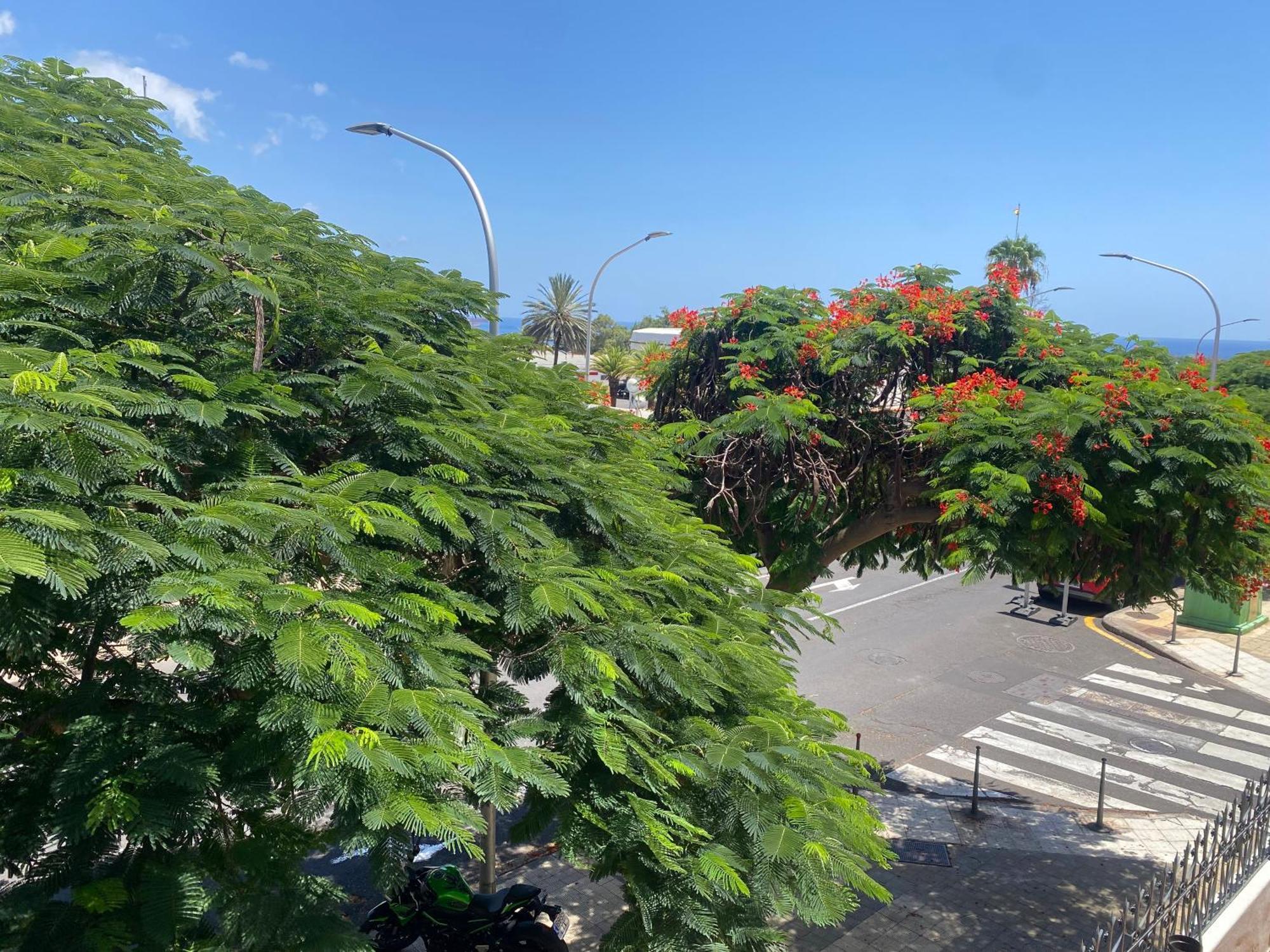 Santa Cruz De Tenerife Toscal Екстериор снимка